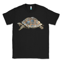 Black Tortoise Illustrations Classic Tee - LillyAllenDesigns