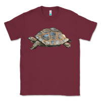 Burgundy Tortoise Illustrations Classic Tee - LillyAllenDesigns