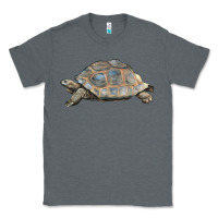 Charcoal Heather Tortoise Illustrations Classic Tee - LillyAllenDesigns