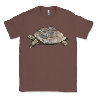 Chestnut Tortoise Illustrations Classic Tee - LillyAllenDesigns