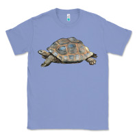 Colony Blue Tortoise Illustrations Classic Tee - LillyAllenDesigns