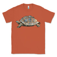 Copper Tortoise Illustrations Classic Tee - LillyAllenDesigns