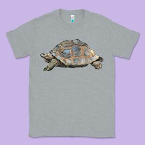 Tortoise Illustrations Classic Tee Designed By Lillyallendesigns