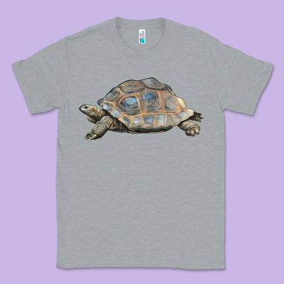 Tortoise Illustrations Classic Tee Designed By Lillyallendesigns