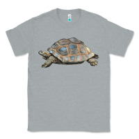 Heather Grey Tortoise Illustrations Classic Tee - LillyAllenDesigns