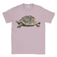 Lilac Tortoise Illustrations Classic Tee - LillyAllenDesigns