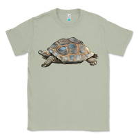 Matcha Tortoise Illustrations Classic Tee - LillyAllenDesigns
