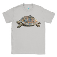 Moon Dust Tortoise Illustrations Classic Tee - LillyAllenDesigns