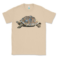 Mushroom Tortoise Illustrations Classic Tee - LillyAllenDesigns
