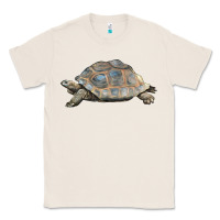 Natural Tortoise Illustrations Classic Tee - LillyAllenDesigns