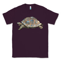Plum Tortoise Illustrations Classic Tee - LillyAllenDesigns