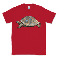 Red Tortoise Illustrations Classic Tee - LillyAllenDesigns