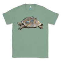 Sage Tortoise Illustrations Classic Tee - LillyAllenDesigns