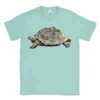 Seafoam Tortoise Illustrations Classic Tee - LillyAllenDesigns