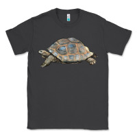 Smoke Tortoise Illustrations Classic Tee - LillyAllenDesigns