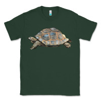 Sports Green Tortoise Illustrations Classic Tee - LillyAllenDesigns