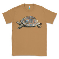 Toasted Coconut Tortoise Illustrations Classic Tee - LillyAllenDesigns