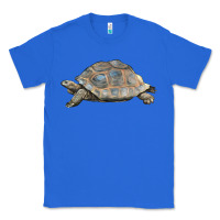 True Royal Tortoise Illustrations Classic Tee - LillyAllenDesigns