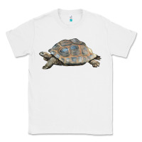 White Tortoise Illustrations Classic Tee - LillyAllenDesigns