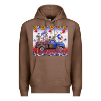 Chestnut Fourth Of July Truck American Flag Premium Hoodie - FaDigitalArtStudio