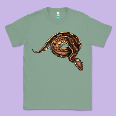 Royal Ball Python Illustrations Classic Tee Designed By Lillyallendesigns
