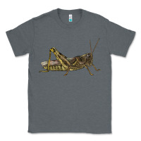 Charcoal Heather Grasshopper Classic Tee - LillyAllenDesigns