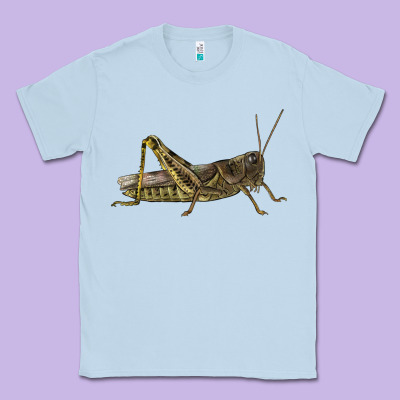 Grasshopper Classic Tee Designed By Lillyallendesigns