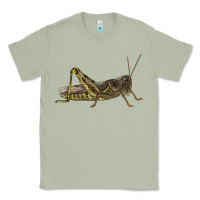 Matcha Grasshopper Classic Tee - LillyAllenDesigns