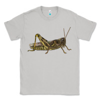 Moon Dust Grasshopper Classic Tee - LillyAllenDesigns