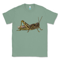 Sage Grasshopper Classic Tee - LillyAllenDesigns