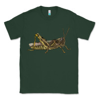 Sports Green Grasshopper Classic Tee - LillyAllenDesigns