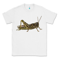 White Grasshopper Classic Tee - LillyAllenDesigns