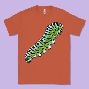 Papilio Machaon Caterpillar Classic Tee Designed By Lillyallendesigns