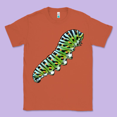 Papilio Machaon Caterpillar Classic Tee Designed By Lillyallendesigns
