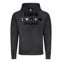 Friends Not Food Vintage Hoodie | Teevron