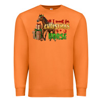 Carrot All I Want For Christmas Is A Horse Premium Sweatshirt - LillyAllenDesigns