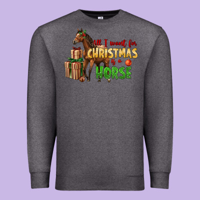 All I Want For Christmas Is A Horse Premium Sweatshirt Designed By Lillyallendesigns
