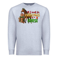 Heather Grey All I Want For Christmas Is A Horse Premium Sweatshirt - LillyAllenDesigns
