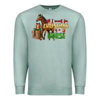 Seafoam All I Want For Christmas Is A Horse Premium Sweatshirt - LillyAllenDesigns