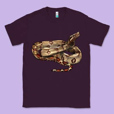 Red Tail Boa Snake Classic Tee Designed By Lillyallendesigns