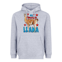 Heather Grey All American Lama Heavyweight Hoodie - LillyAllenDesigns