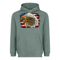 Sage Western American Flag Eagle Heavyweight Hoodie - LillyAllenDesigns