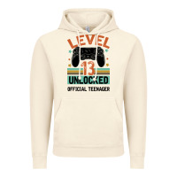 Vintage Artic Level 13 Unlocked Official Teenager 13th Birthday Vintage Hoodie - Bettercallsaul