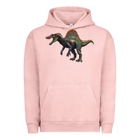 Pigment Salmon spinosaurus Urban Hoodie - Artiststas