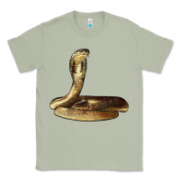 Matcha king cobra snake Classic Tee - LillyAllenDesigns
