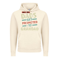 Vintage Artic Only Great Dads Get Promoted To Grandad Vintage Hoodie - Bettercallsaul