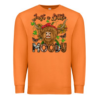 Carrot Just a Little Moody Premium Sweatshirt - CowhideDigitalArt