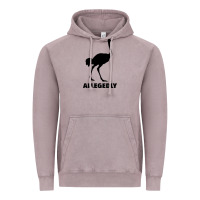 Allegedly Funny Ostrich Vintage Hoodie | Teevron