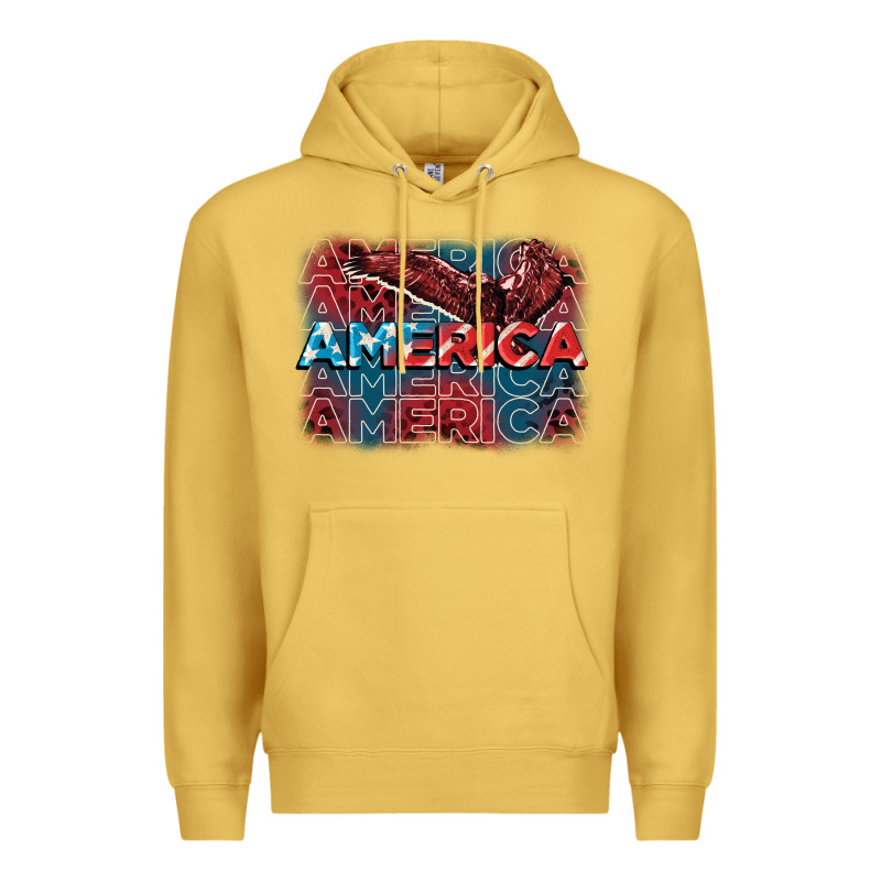 America America America America 4th Of July Premium Hoodie by FaDigitalArtStudio | Teevron