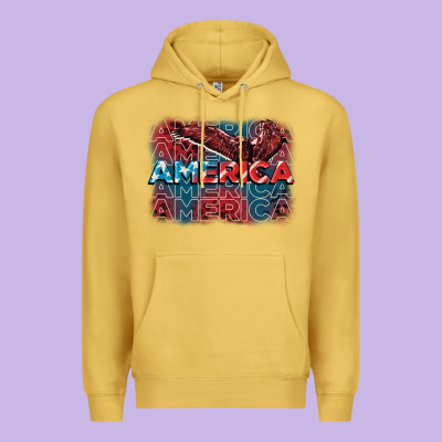 America America America America 4th Of July Premium Hoodie Designed By Fadigitalartstudio